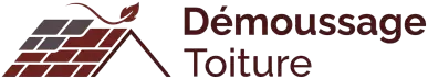 Démoussage Toiture